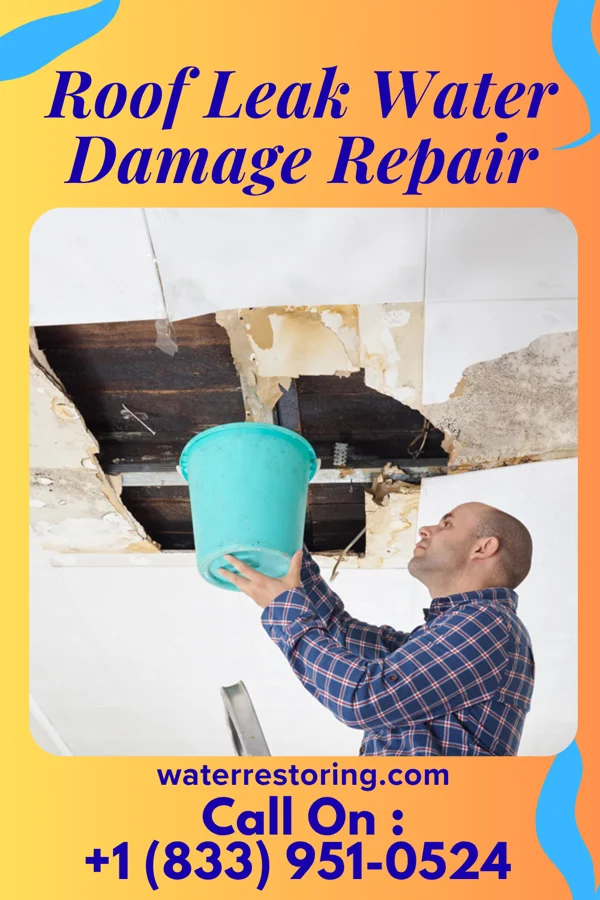 Roof Leak Water Damage Repair in Davis, IL