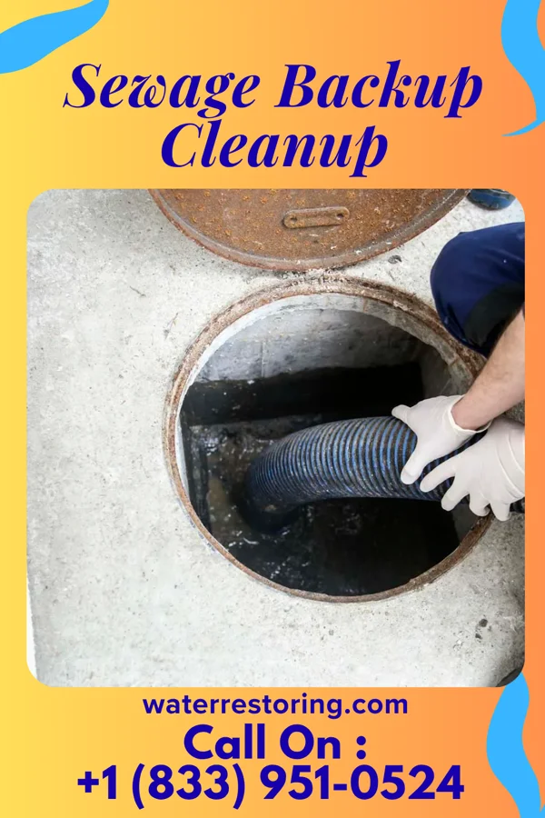 Sewage Backup Cleanup in Davis, IL