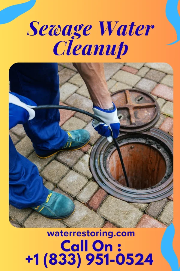 Sewage Water Cleanup in Davis, IL